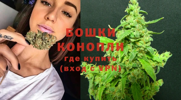 прущие грибы Семилуки