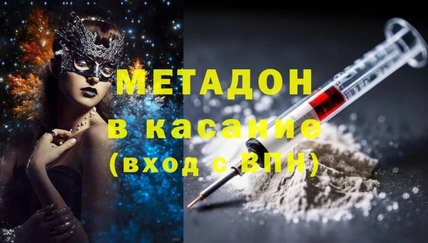 прущие грибы Семилуки