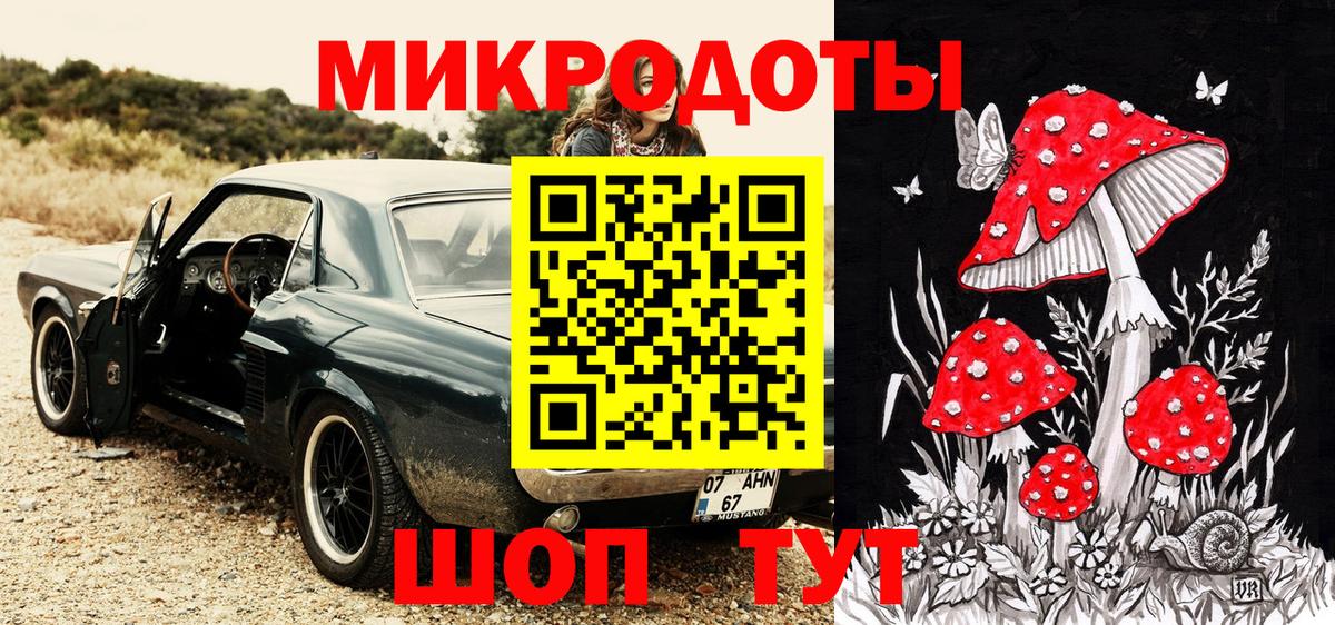 Советск  Псилоцибиновые грибы мицелий  Вход с VPN 